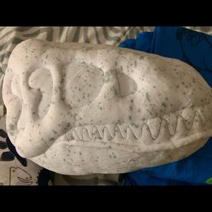 2 dinosaur twin bed sheets and a Dino pillow